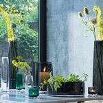Stems