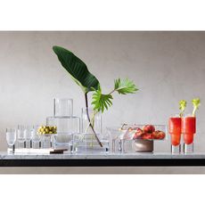Набор из 2 хайболов Vodka 400 мл, LSA International, фото , изображение 2