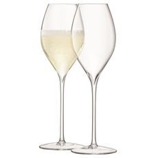 Набор из 2 бокалов для просекко Wine, 370 мл, LSA International, фото 