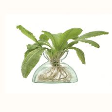 Ваза Canopy 9,5см, LSA International, фото , изображение 7