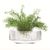 Ваза Signature Rotunda 14 см, LSA International, фото , изображение 2