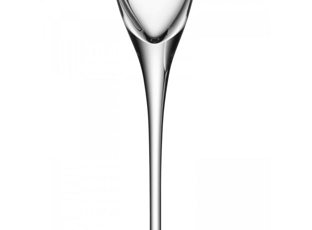 Набор из 4 бокалов-флейт Wine 160 мл, LSA International, фото , изображение 4