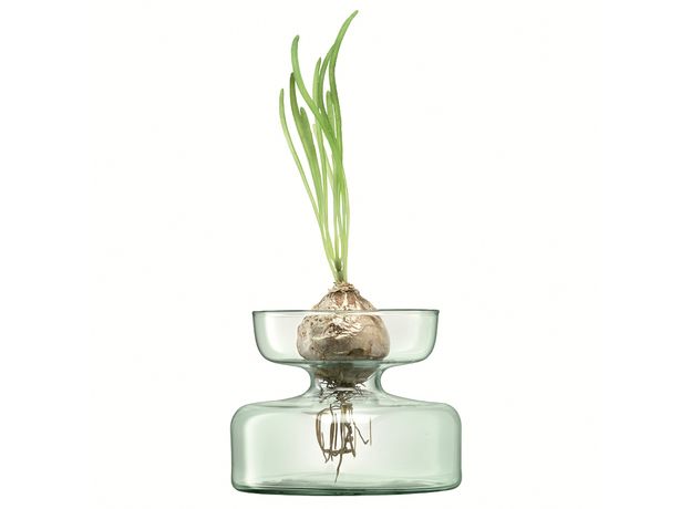 Ваза Canopy 10см, LSA International, фото , изображение 5